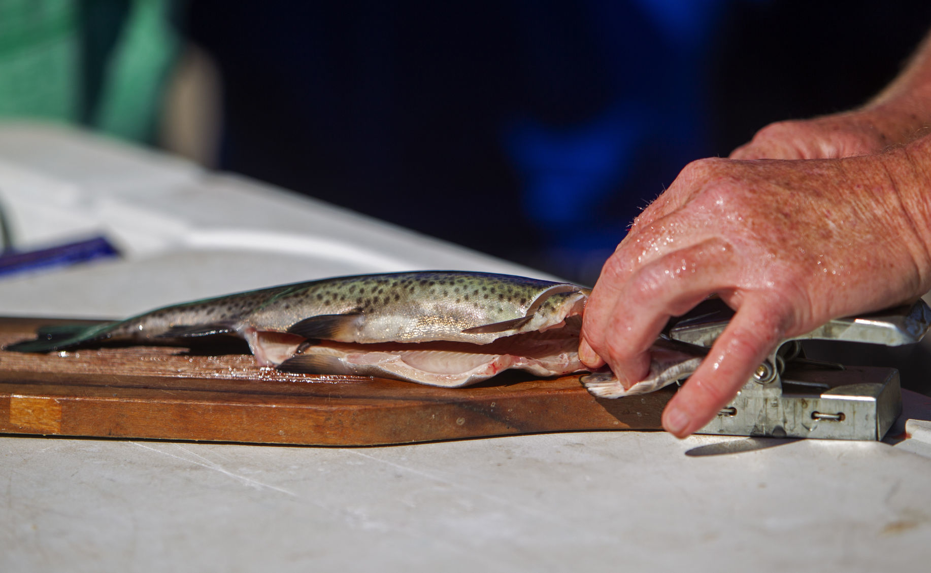 Aquaculture water